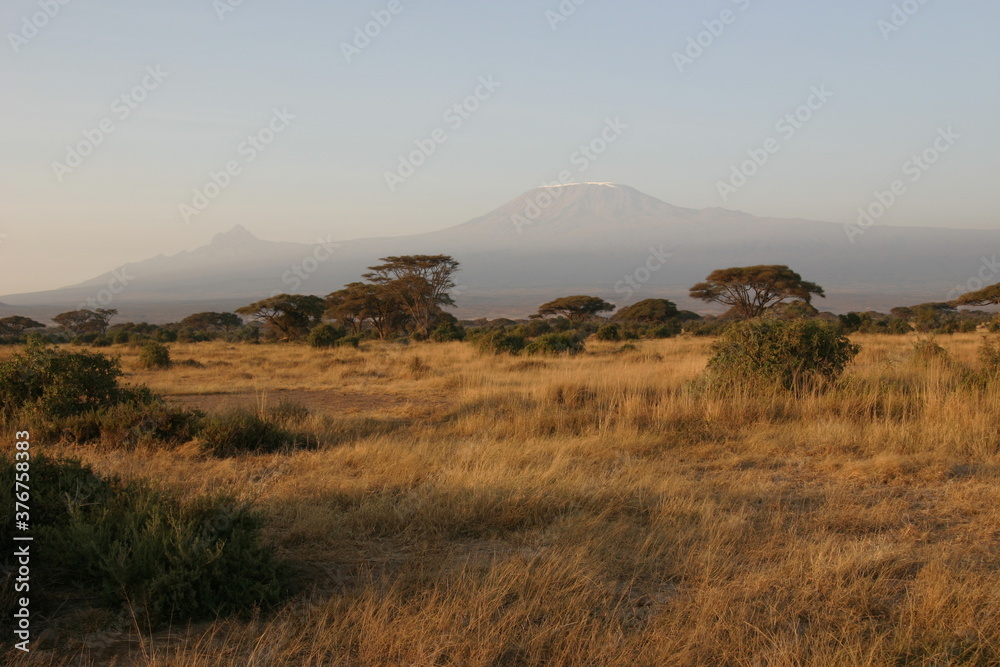 Naklejka premium Kenya Bay Beach