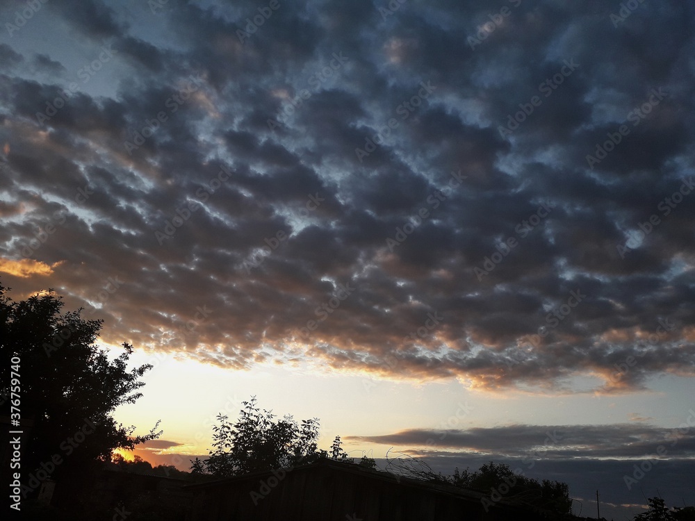 Fototapeta premium clouds in the sky at dawn