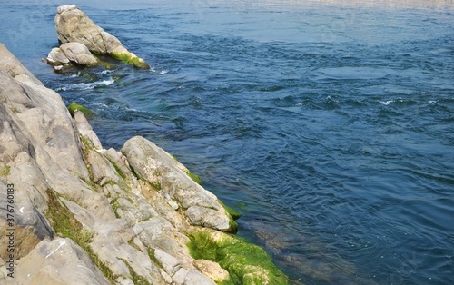 rocks in the river