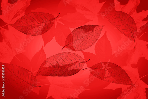 Abstract texture with autumn yellow leaves. Background	
