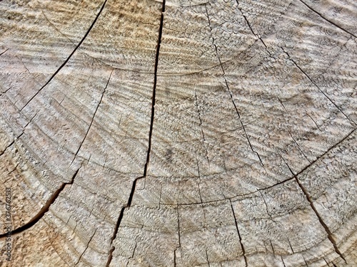 Fond de texture en bois