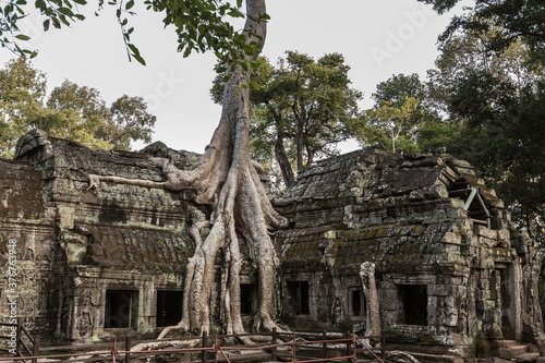 Ruins with overgrown tree, Ta Prohm, Angkor Wat, Siem Reap, Cambodia, Southeast Asia