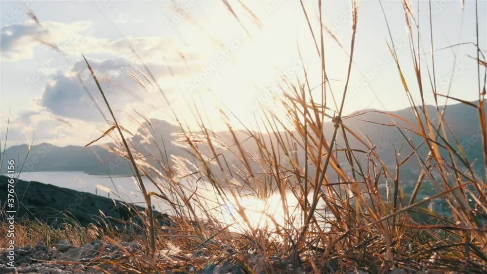 Grass ripples in the mountains above the sea