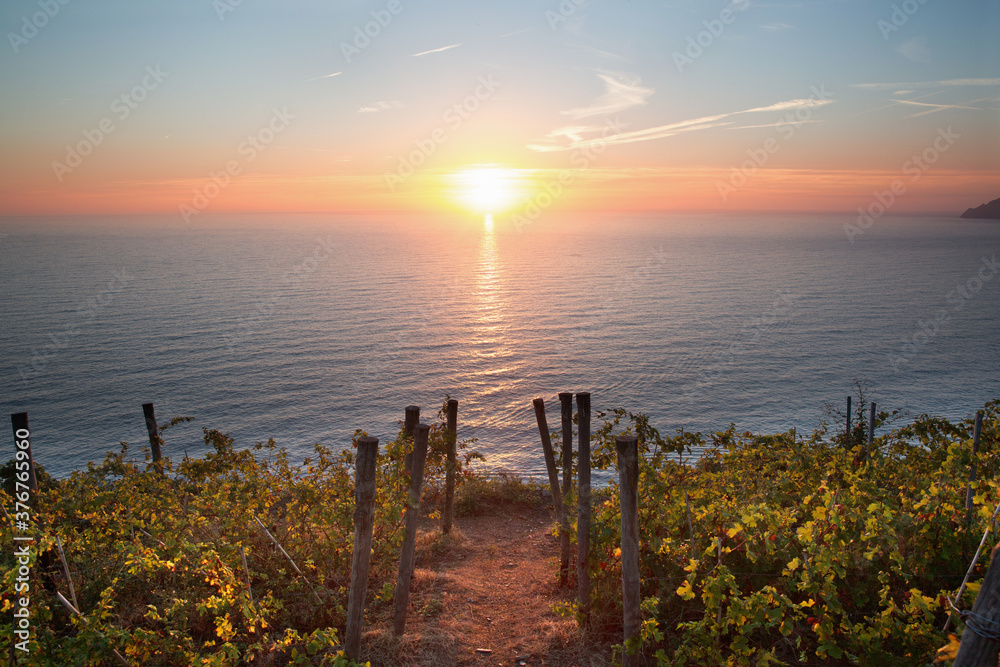Sun setting, vineyards in Riomaggiore, Cinque Terre, Italy Sun setting, vineyards in Riomaggiore, Cinque Terre, Italy