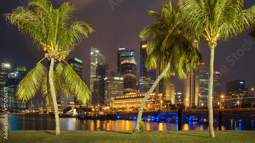 Palm trees in front of financial district at night, Singapore © Image Source