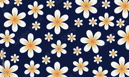 Beautiful flower Pattern vector background. photo