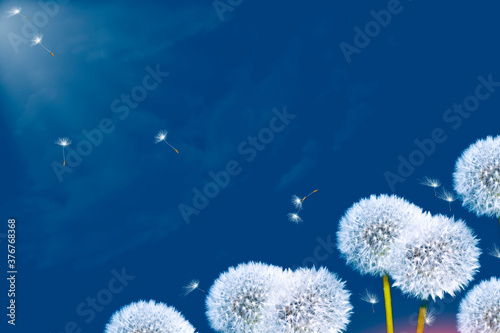 Fluffy dandelion flower against the background of the summer landscape.