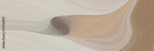 abstract modern horizontal header with silver, gray gray and pastel brown colors. fluid curved flowing waves and curves for poster or canvas