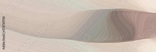 abstract modern horizontal header with silver, gray gray and antique white colors. fluid curved lines with dynamic flowing waves and curves for poster or canvas © Eigens