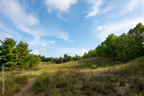 Landscape along the sandy trails of Dunes Ridge Trail on a beautiful late summer morning.  Indiana Dunes National Park  Indiana  USA