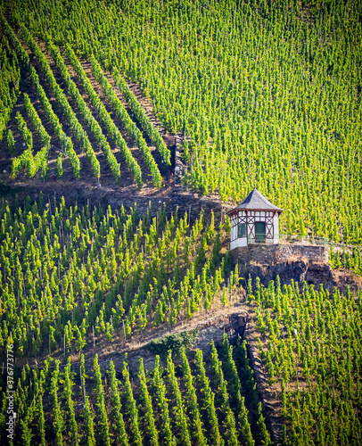 Bild auf Leinwand Bernkastel area of vineyards near the Moselle river