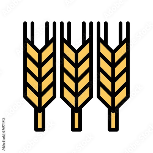 administrative related wheat seeds vector with editable stroke,