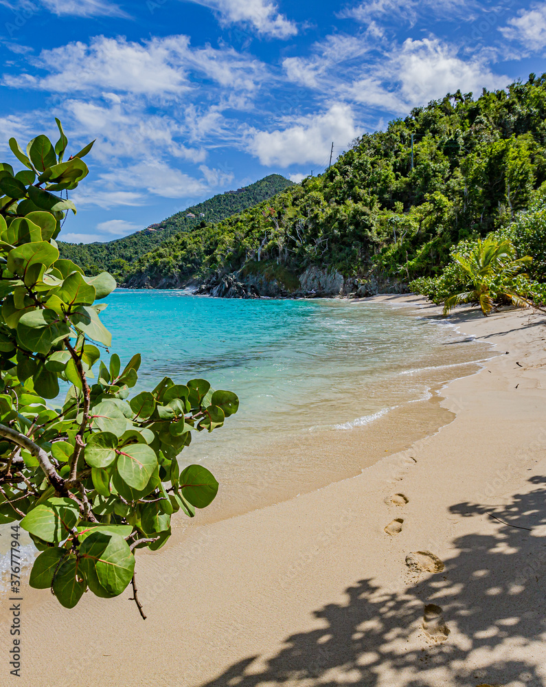 Jumbi bay beach surrounded by grape leaf trees and coconut palms