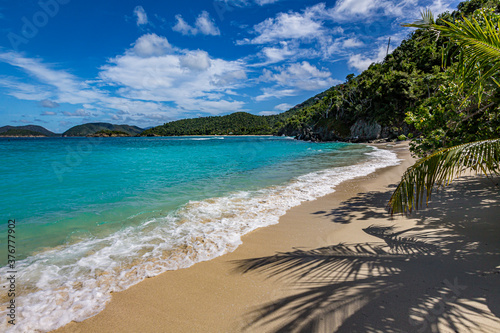 Jumbi bay beach and the shadows of coconut palms in St. John photo