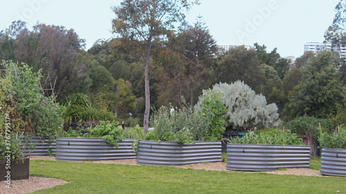 Photography Community garden, Sydney City Farm is an urban agriculture project nurtured by the City of Sydney in Sydney Park