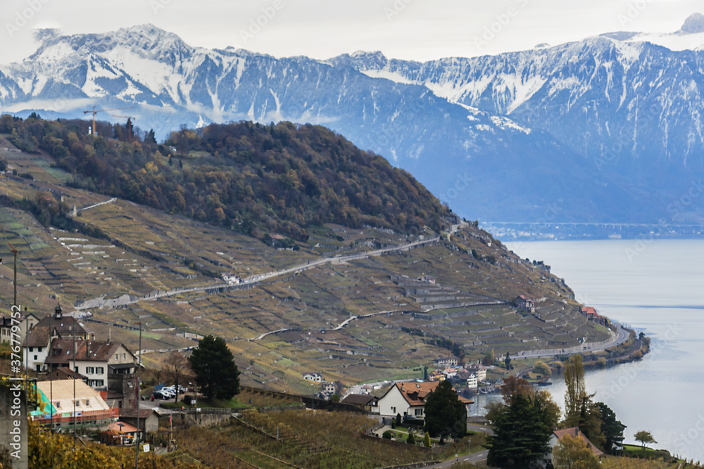 Village of Grandvaux and Lavaux vineyard terraces near Lake Geneva (Lac Leman), UNESCO World Heritage. Canton of Vaud, around Lausanne, Switzerland. 