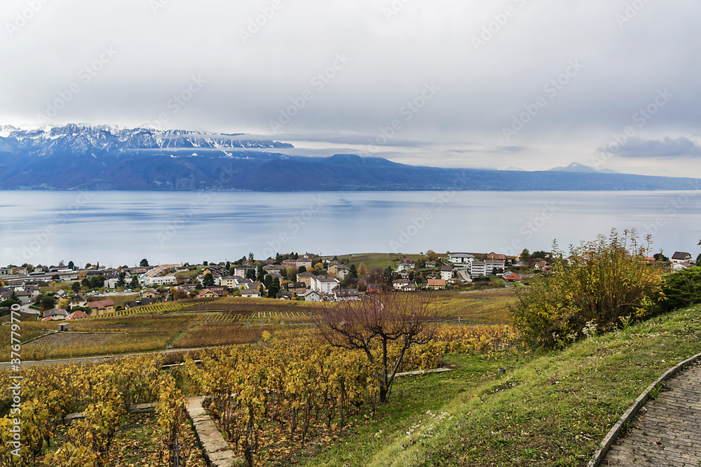 Village of Grandvaux and Lavaux vineyard terraces near Lake Geneva (Lac Leman), UNESCO World Heritage. Canton of Vaud, around Lausanne, Switzerland. 