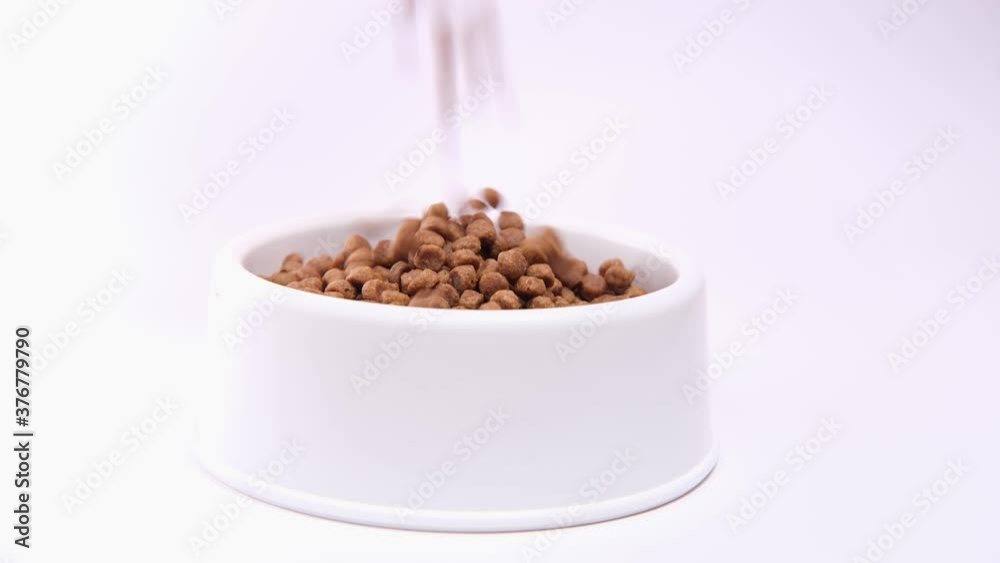 4k Dry food for kittens or puppies is poured into large white bowl on white background. Pets feed.