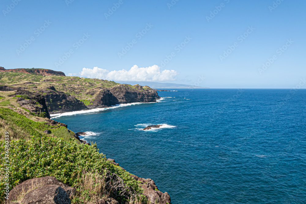 Rocky coastline and ocean with surf