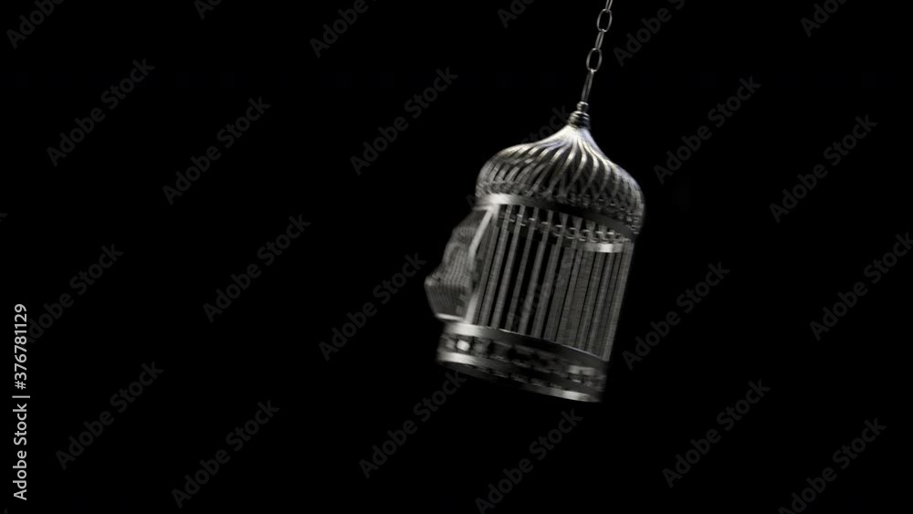 Free from cage by breaking an empty one for freedom.
Breaking a hanging chained bird cage depicting freedom and escaping from an isolated prison to enjoy the new life full of spirit. with Alpha.