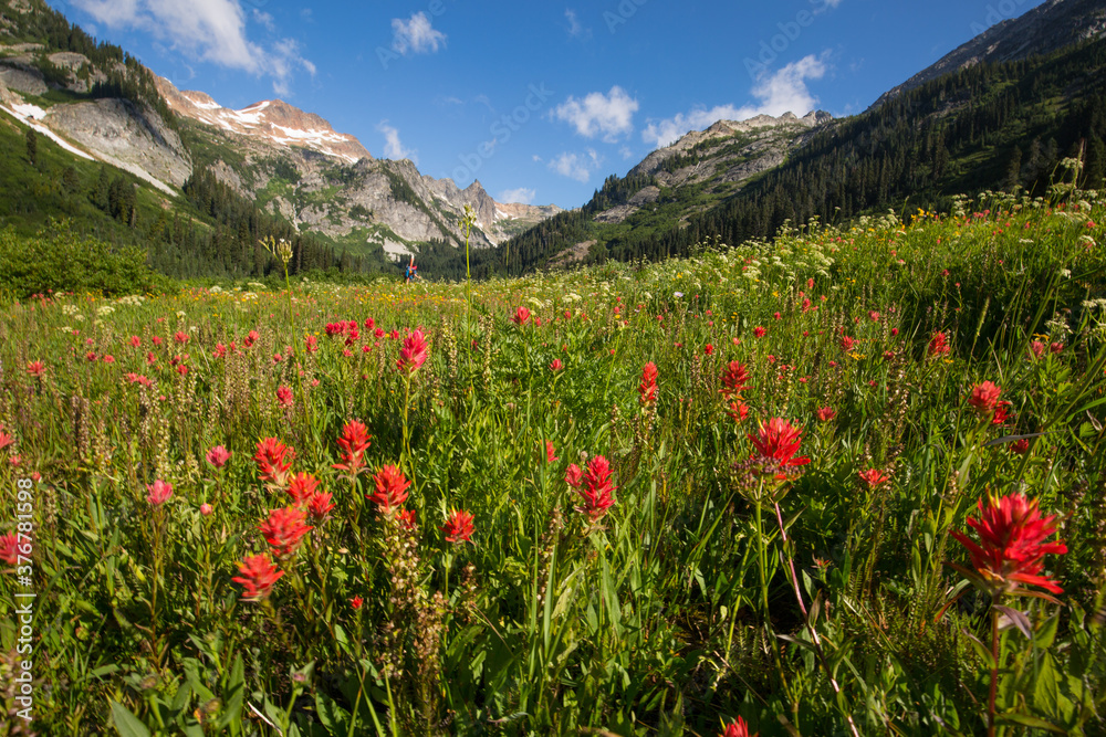 Scenic view of Spider Meadow against mountains in Glacier Peak Wilderness Scenic view of Spider Meadow against mountains in Glacier Peak Wilderness