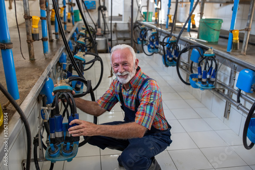 Farmer holding milking machine on dairy farm