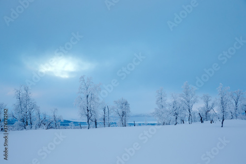 Wallpaper Mural View of snow covered trees on snowy landscape against cloudy sky Torontodigital.ca