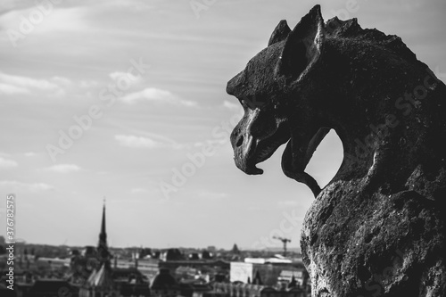 Close up of gargoyle on top of Notre Dame in Paris photo