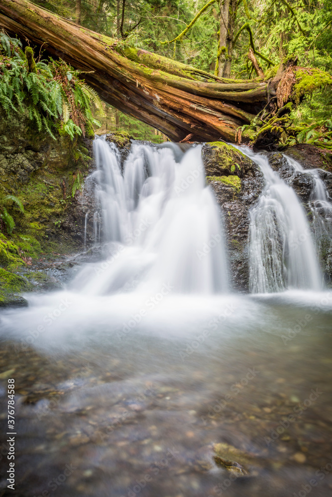 Rustic Falls in Moran State Park Rustic Falls in Moran State Park