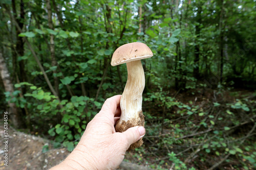Strong boletus in hand against the background of the forest, close - up-the concept of autumn mushroom picking