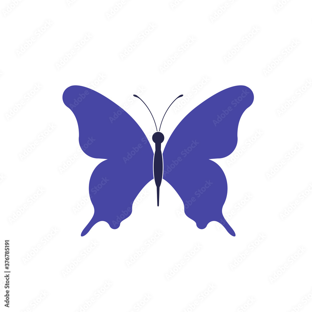 Butterfly isolated on white. Flat vector icon of butterfly design insect Butterfly isolated on white. Flat vector icon of butterfly design insect