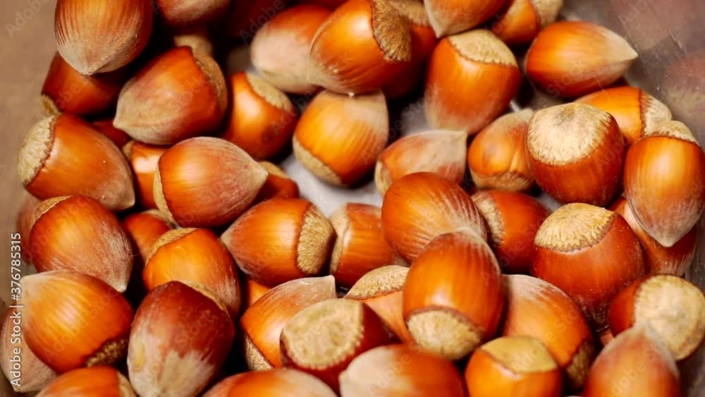 unpeeled hazelnuts close up.view from above.background of hazelnuts unpeeled hazelnuts close up.view from above.background of hazelnuts