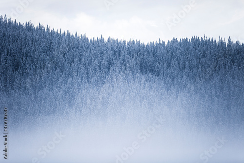View of winter landscape