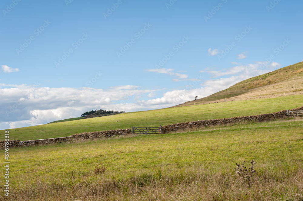 Hills with a green lush grass, fields and meadows against blue cloudy sky with a stone wall and wooden gate.