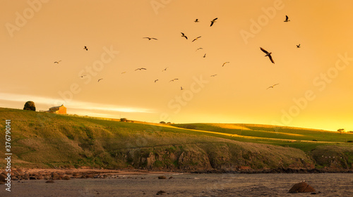 Scenic view of landscape during sunrise