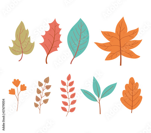 autumn leaves maple branch foliage nature icon set