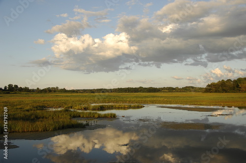 Clouds reflecting in water in Rachel Carson National Wildlife Refuge photo