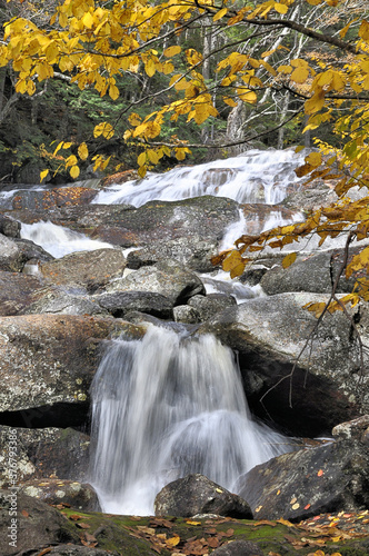 Colorful autumn scene. Cascades and waterfall along steep rocky section of Harvard Brook in White Mountains National Forest  New Hampshire.