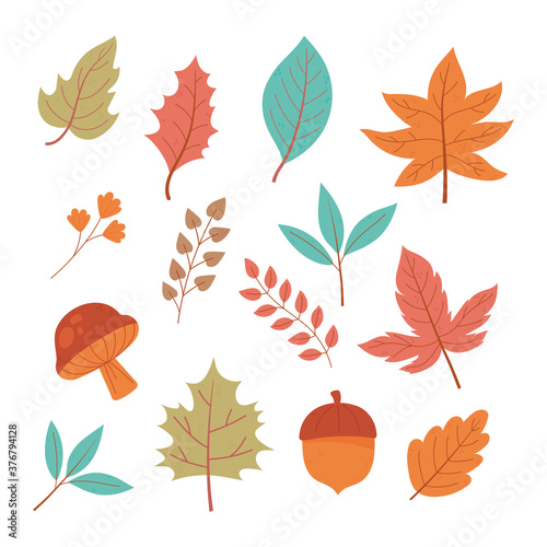background autumn acorn mushroom leaves foliage botancial icons
