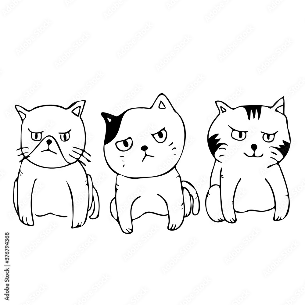 Fototapeta premium 猫の兄弟