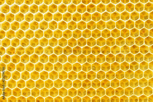 Close-up Background texture and drawing of a section of wax honeycomb from a beehive.