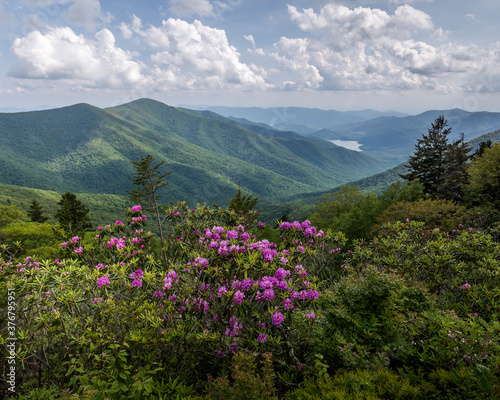 View of Rhododendron and Basset Lake from the Blue Ridge Parkway photo