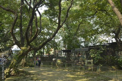 Ninoy Aquino parks and wildlife rescue center animal cage in Quezon City, Philippines