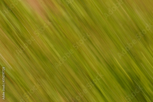 Green blurred mosaic in motion  abstract green background