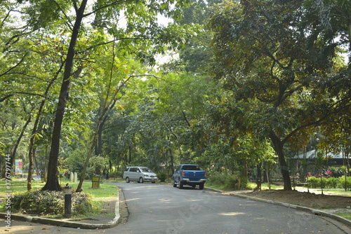 Ninoy Aquino parks and wildlife surrounding trees in Quezon City, Philippines