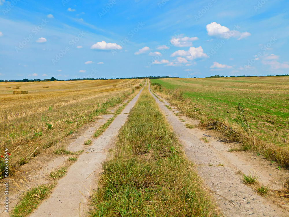 Getreideanbau in der Uckermark