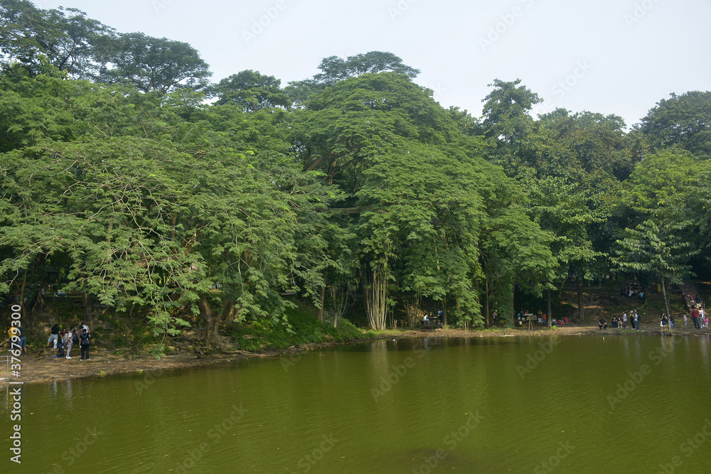 Ninoy Aquino parks and wildlife water lagoon in Quezon City, Philippines