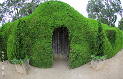 The door in the hedge - The Ashcombe Maze and Lavender Gardens - Victoria, Australia photo