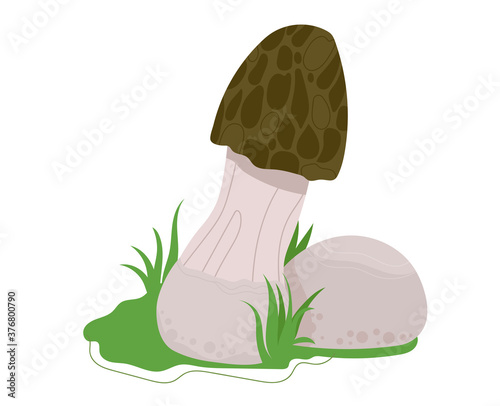 Mushroom forest, autumn food, fungus collection, white darner ingredient isolated on white, design, flat style vector illustration. Season organic chanterelle, edible fresh raw material, wild harvest.