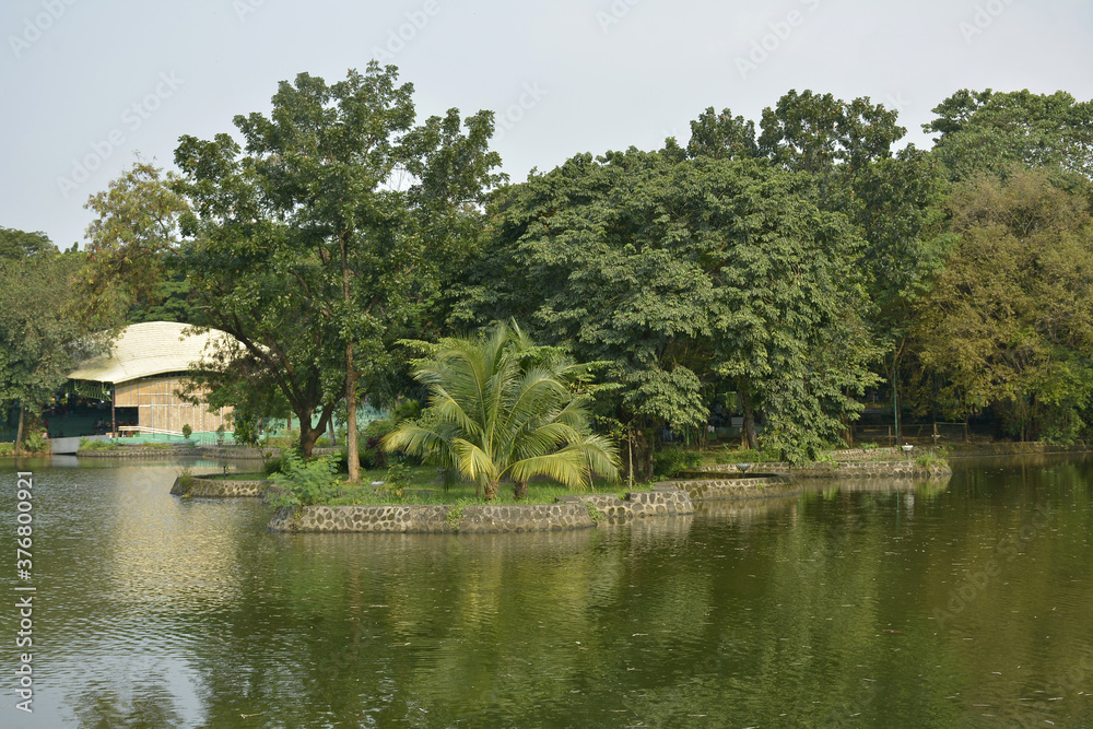 Ninoy Aquino parks and wildlife water lagoon in Quezon City, Philippines Ninoy Aquino parks and wildlife water lagoon in Quezon City, Philippines